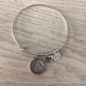 walt disney world alex and ani